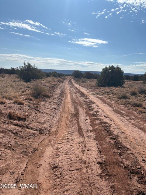 Tiny photo for 8580E Lawson Lane, Snowflake, AZ 85937 (MLS # 257136)