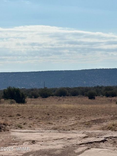 Tiny photo for 8580E Lawson Lane, Snowflake, AZ 85937 (MLS # 257136)
