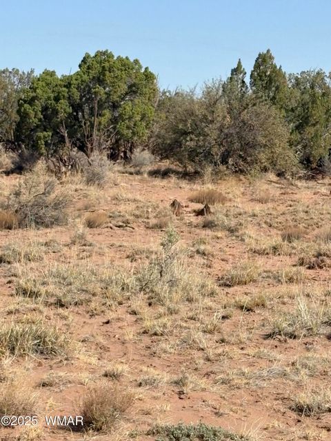 Photo of 8580E Lawson Lane, Snowflake, AZ 85937 (MLS # 257136)