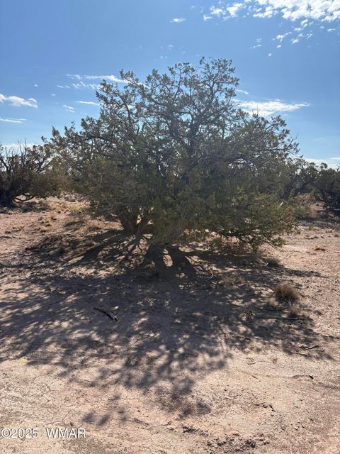 Tiny photo for 8580E Lawson Lane, Snowflake, AZ 85937 (MLS # 257136)
