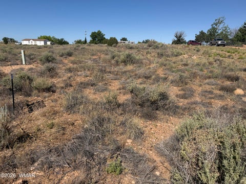 Photo of 2598 6th Sundown Lane, Snowflake, AZ 85937 (MLS # 261533)