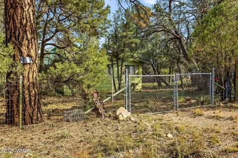Tiny photo for 2887 Center Road, Overgaard, AZ 85933 (MLS # 258608)