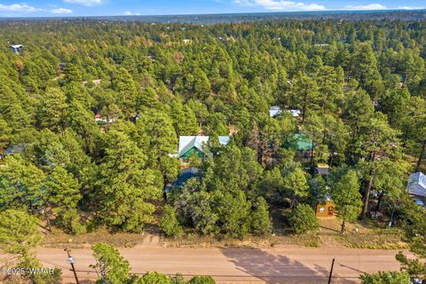 Tiny photo for 2887 Center Road, Overgaard, AZ 85933 (MLS # 258608)