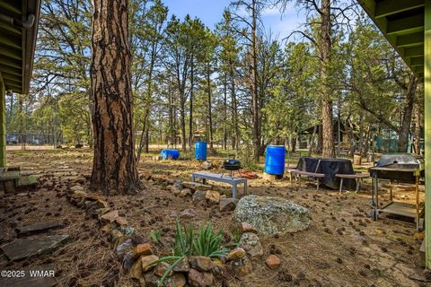 Tiny photo for 2887 Center Road, Overgaard, AZ 85933 (MLS # 258608)