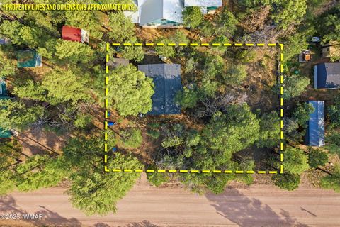 Tiny photo for 2887 Center Road, Overgaard, AZ 85933 (MLS # 258608)