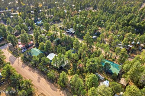 Tiny photo for 2887 Center Road, Overgaard, AZ 85933 (MLS # 258608)