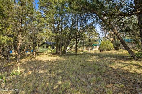 Tiny photo for 2887 Center Road, Overgaard, AZ 85933 (MLS # 258608)