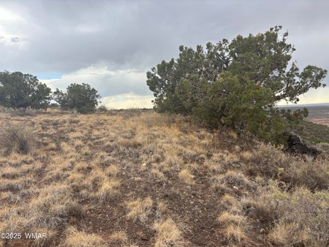 Tiny photo for 9223 Golden Horse Lane, Snowflake, AZ 85937 (MLS # 257658)