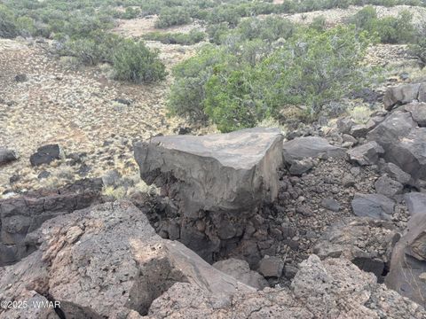 Tiny photo for 9223 Golden Horse Lane, Snowflake, AZ 85937 (MLS # 257658)