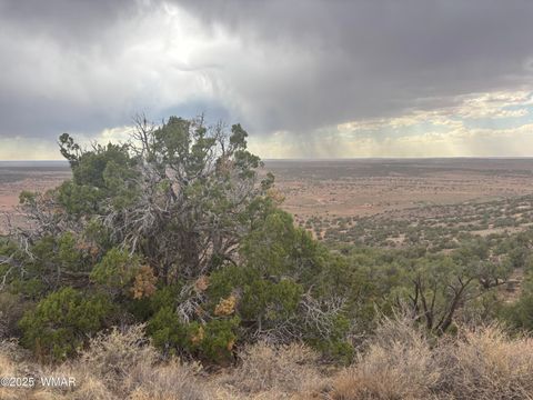 Tiny photo for 9223 Golden Horse Lane, Snowflake, AZ 85937 (MLS # 257658)