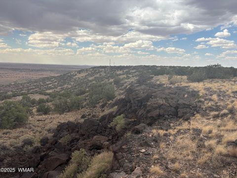 Photo of 9223 Golden Horse Lane, Snowflake, AZ 85937 (MLS # 257658)
