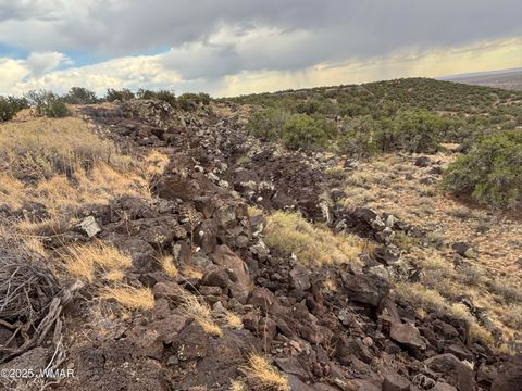Tiny photo for 9223 Golden Horse Lane, Snowflake, AZ 85937 (MLS # 257658)