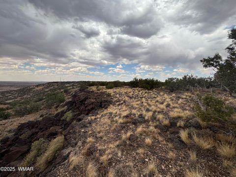 Tiny photo for 9223 Golden Horse Lane, Snowflake, AZ 85937 (MLS # 257658)