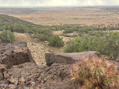 Tiny photo for 9223 Golden Horse Lane, Snowflake, AZ 85937 (MLS # 257658)