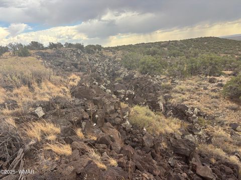 Tiny photo for 9223 Golden Horse Lane, Snowflake, AZ 85937 (MLS # 257658)