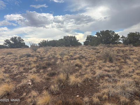 Tiny photo for 9223 Golden Horse Lane, Snowflake, AZ 85937 (MLS # 257658)