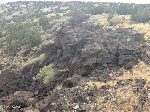 Tiny photo for 9223 Golden Horse Lane, Snowflake, AZ 85937 (MLS # 257658)