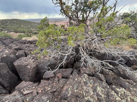 Tiny photo for 9223 Golden Horse Lane, Snowflake, AZ 85937 (MLS # 257658)