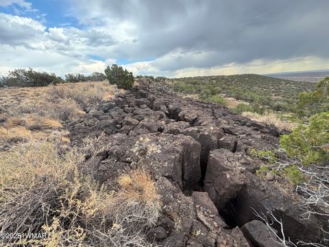 Tiny photo for 9223 Golden Horse Lane, Snowflake, AZ 85937 (MLS # 257658)