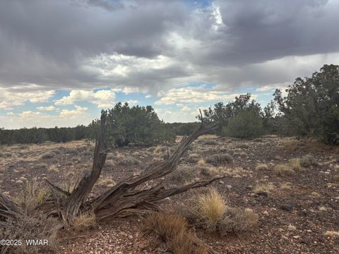 Tiny photo for 9223 Golden Horse Lane, Snowflake, AZ 85937 (MLS # 257658)
