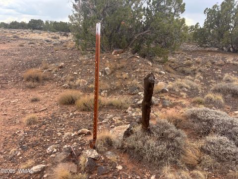 Tiny photo for 9223 Golden Horse Lane, Snowflake, AZ 85937 (MLS # 257658)