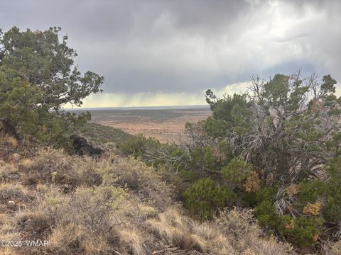 Tiny photo for 9223 Golden Horse Lane, Snowflake, AZ 85937 (MLS # 257658)