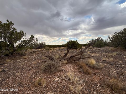 Tiny photo for 9223 Golden Horse Lane, Snowflake, AZ 85937 (MLS # 257658)