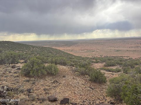 Tiny photo for 9223 Golden Horse Lane, Snowflake, AZ 85937 (MLS # 257658)