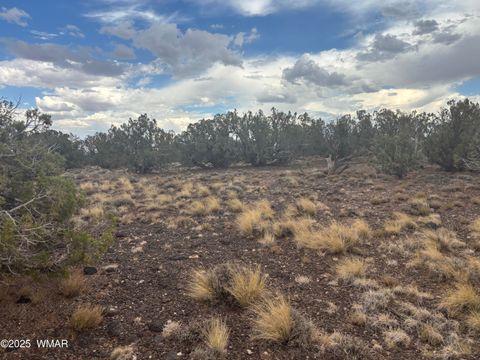 Tiny photo for 9223 Golden Horse Lane, Snowflake, AZ 85937 (MLS # 257658)