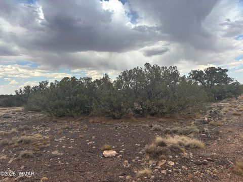 Tiny photo for 9223 Golden Horse Lane, Snowflake, AZ 85937 (MLS # 257658)
