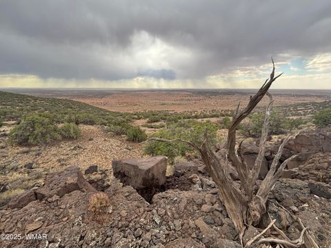 Tiny photo for 9223 Golden Horse Lane, Snowflake, AZ 85937 (MLS # 257658)