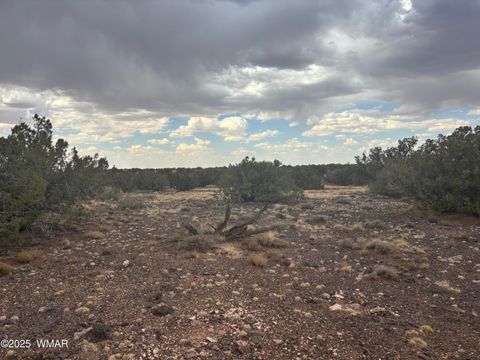 Tiny photo for 9223 Golden Horse Lane, Snowflake, AZ 85937 (MLS # 257658)