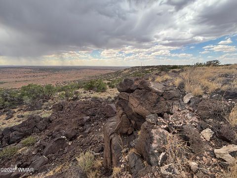 Tiny photo for 9223 Golden Horse Lane, Snowflake, AZ 85937 (MLS # 257658)