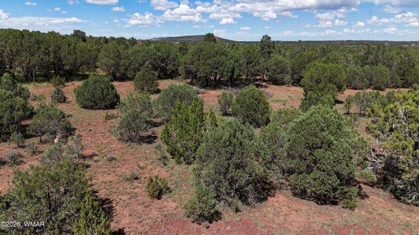 21 COUNTY ROAD 3183, VERNON, AZ 85940 - Image 9e4d4e4a5bd840f799dccea35eb6d524/2176374772