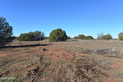 Tiny photo for 3736 Bum Heel Ranch Road, Snowflake, AZ 85937 (MLS # 257386)