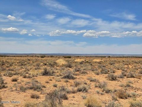 Tiny photo for TBD N Clyde Road, Snowflake, AZ 85937 (MLS # 256210)