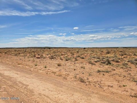 Tiny photo for TBD N Clyde Road, Snowflake, AZ 85937 (MLS # 256210)