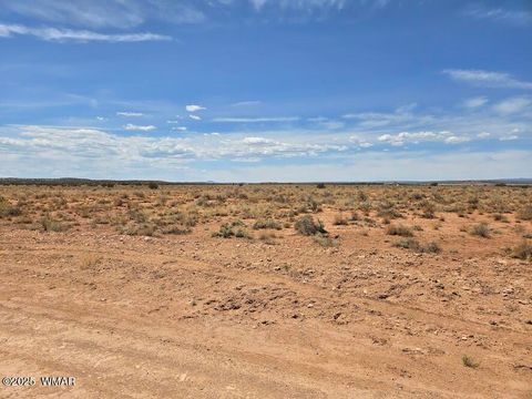 Tiny photo for TBD N Clyde Road, Snowflake, AZ 85937 (MLS # 256210)