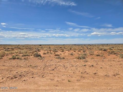 Tiny photo for TBD N Clyde Road, Snowflake, AZ 85937 (MLS # 256210)