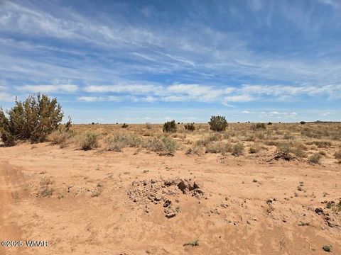 Tiny photo for TBD N Clyde Road, Snowflake, AZ 85937 (MLS # 256210)