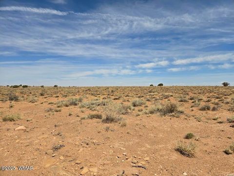 Tiny photo for TBD N Clyde Road, Snowflake, AZ 85937 (MLS # 256210)