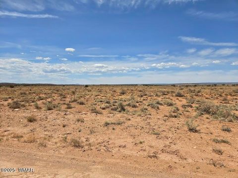 Tiny photo for TBD N Clyde Road, Snowflake, AZ 85937 (MLS # 256210)