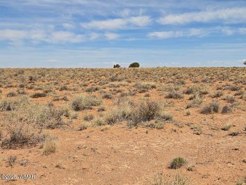 Tiny photo for TBD N Clyde Road, Snowflake, AZ 85937 (MLS # 256210)