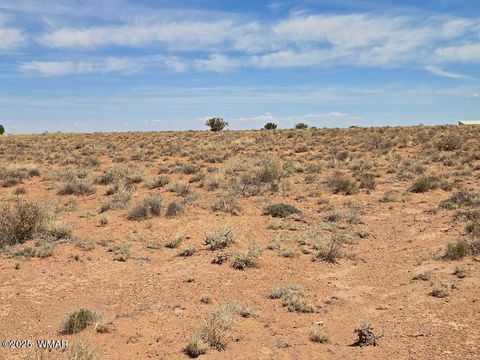 Tiny photo for TBD N Clyde Road, Snowflake, AZ 85937 (MLS # 256210)