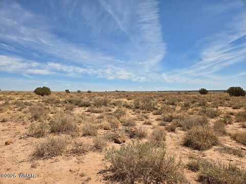 Tiny photo for TBD N Clyde Road, Snowflake, AZ 85937 (MLS # 256210)