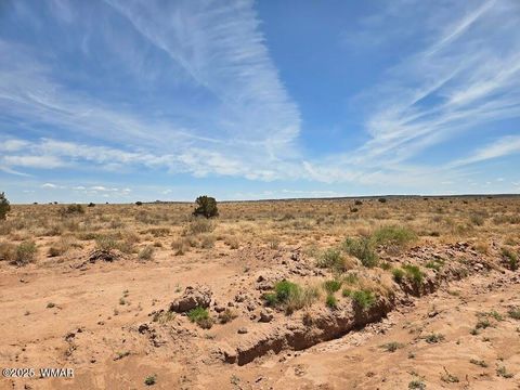 Tiny photo for TBD N Clyde Road, Snowflake, AZ 85937 (MLS # 256210)