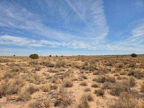Tiny photo for TBD N Clyde Road, Snowflake, AZ 85937 (MLS # 256210)