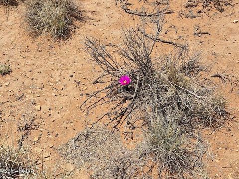 Tiny photo for TBD N Clyde Road, Snowflake, AZ 85937 (MLS # 256210)