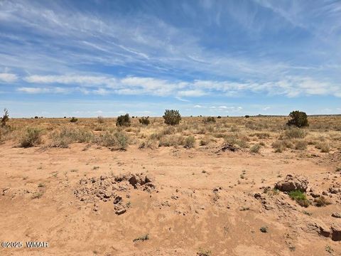 Tiny photo for TBD N Clyde Road, Snowflake, AZ 85937 (MLS # 256210)
