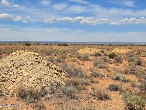 Tiny photo for TBD N Clyde Road, Snowflake, AZ 85937 (MLS # 256210)